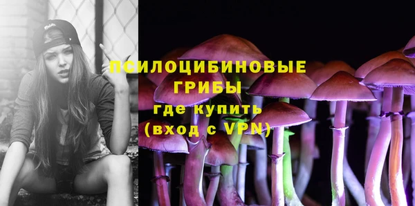 ГАЛЛЮЦИНОГЕННЫЕ ГРИБЫ Алексин