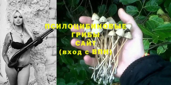 а пвп мука Абаза