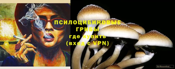а пвп мука Абаза