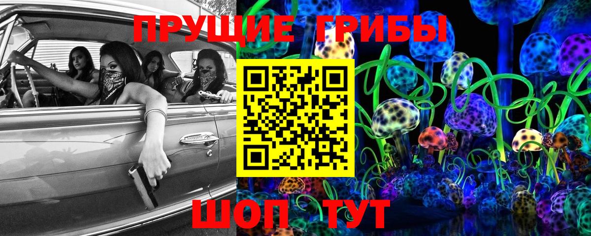 Орск  Галлюциногенные грибы Psilocybine cubensis  Вход с VPN 